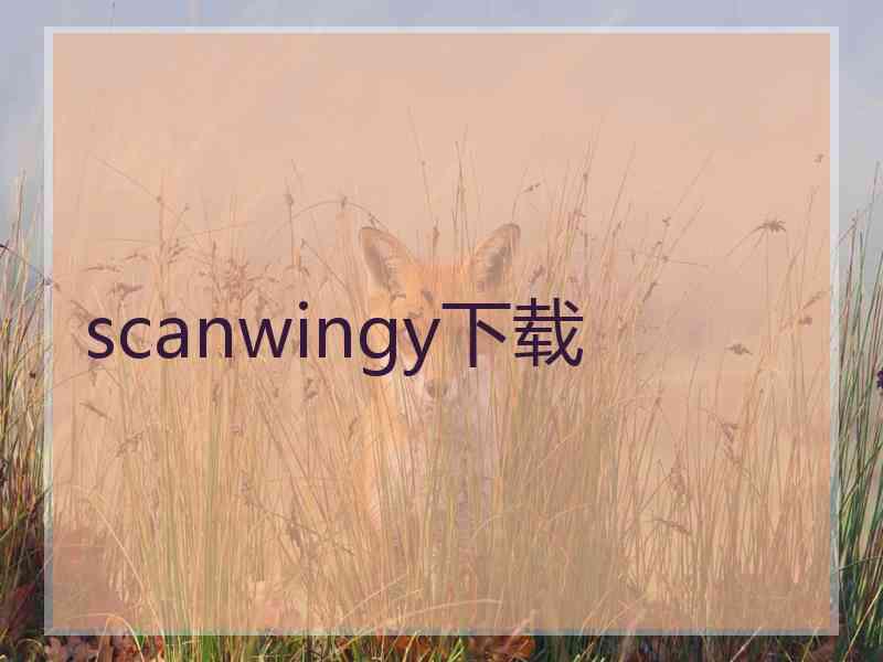 scanwingy下载