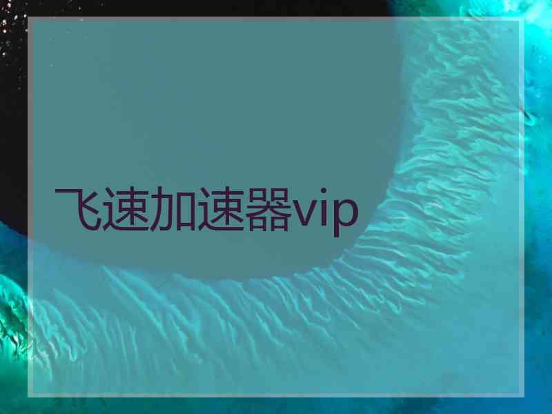 飞速加速器vip