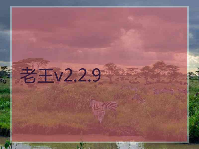 老王v2.2.9