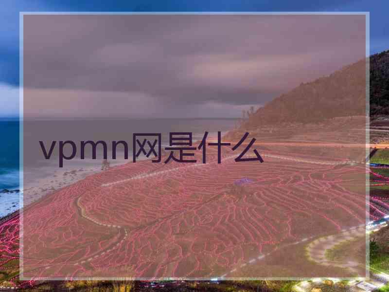 vpmn网是什么