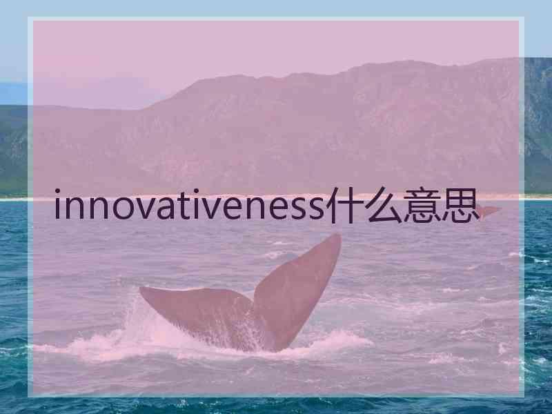 innovativeness什么意思