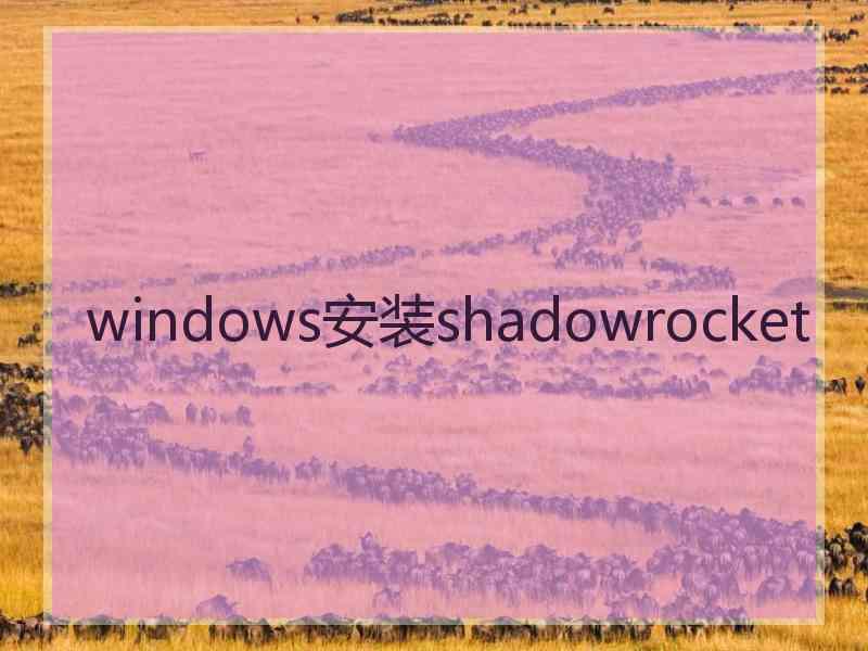 windows安装shadowrocket