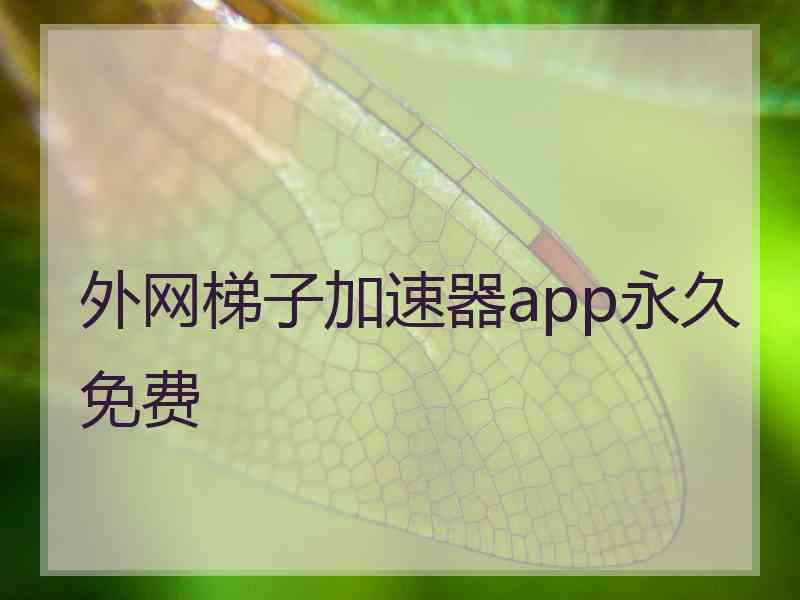 外网梯子加速器app永久免费