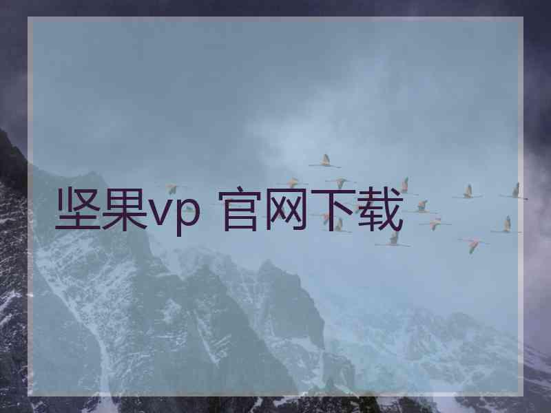 坚果vp 官网下载