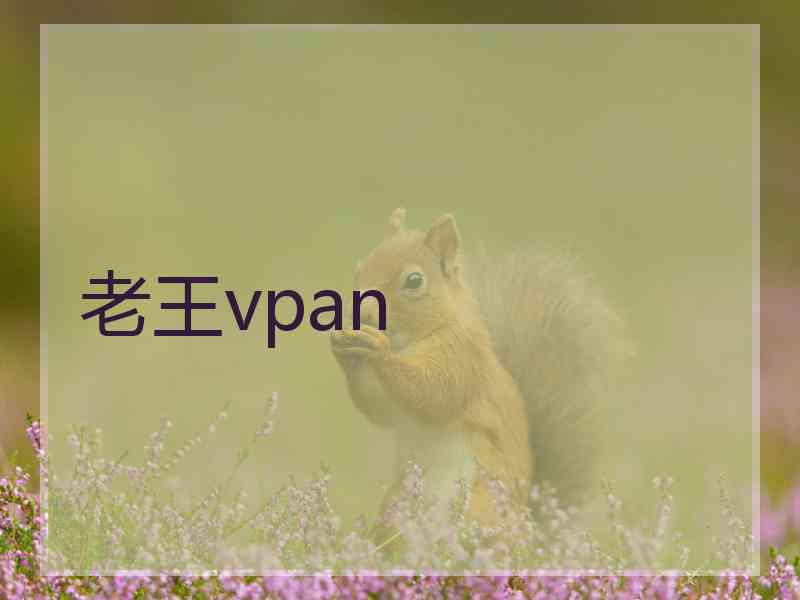 老王vpan