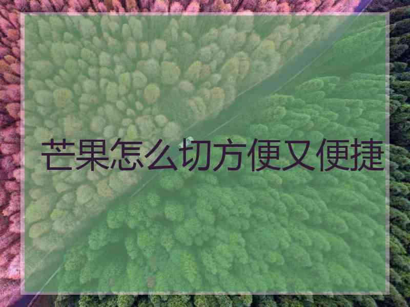 芒果怎么切方便又便捷