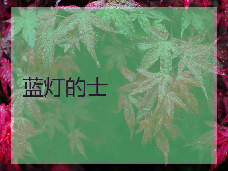 蓝灯的士