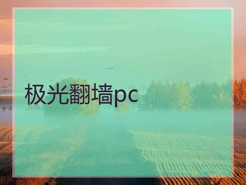 极光翻墙pc