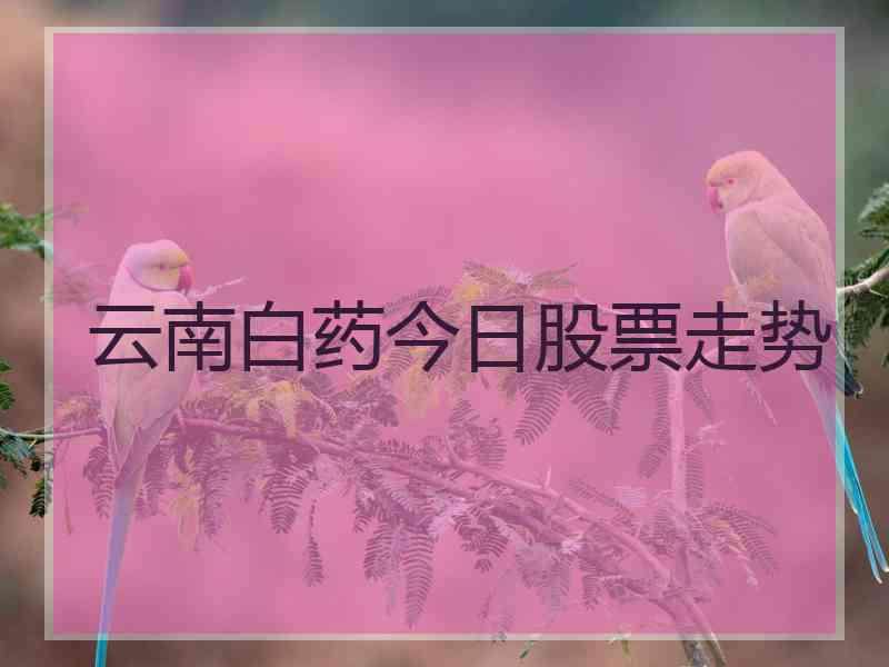 云南白药今日股票走势