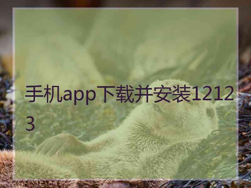 手机app下载并安装12123