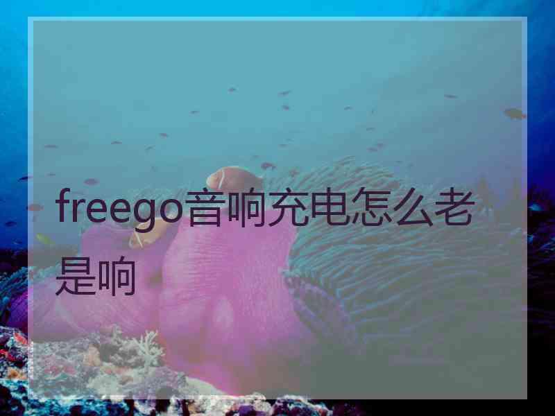 freego音响充电怎么老是响