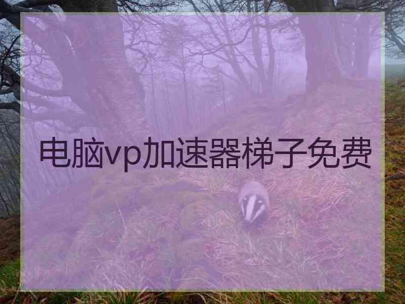 电脑vp加速器梯子免费