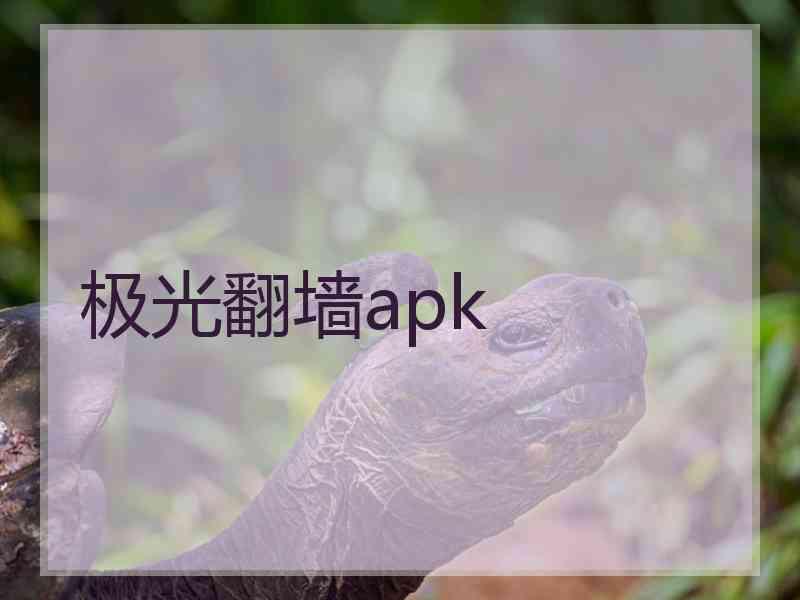 极光翻墙apk