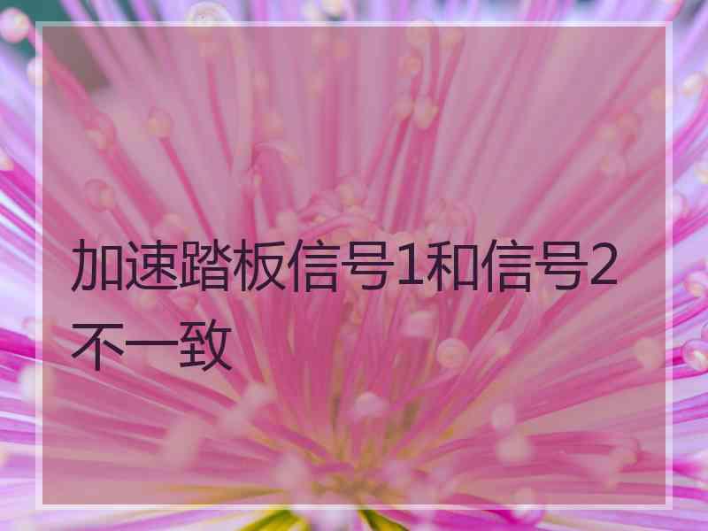 加速踏板信号1和信号2不一致