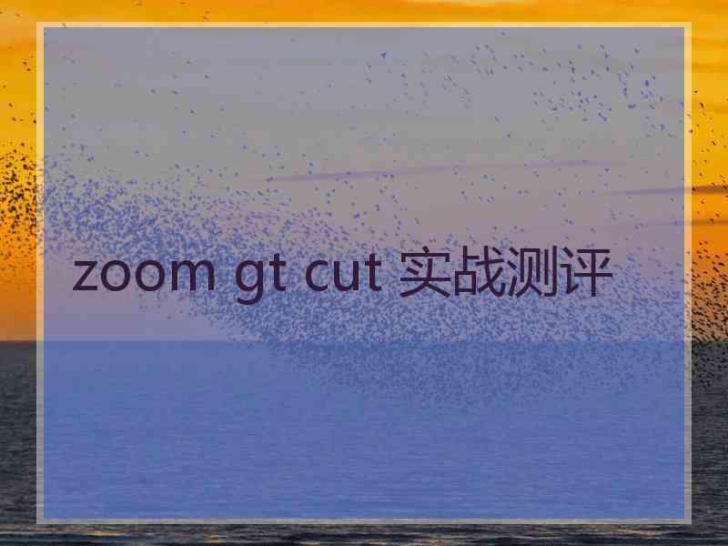 zoom gt cut 实战测评