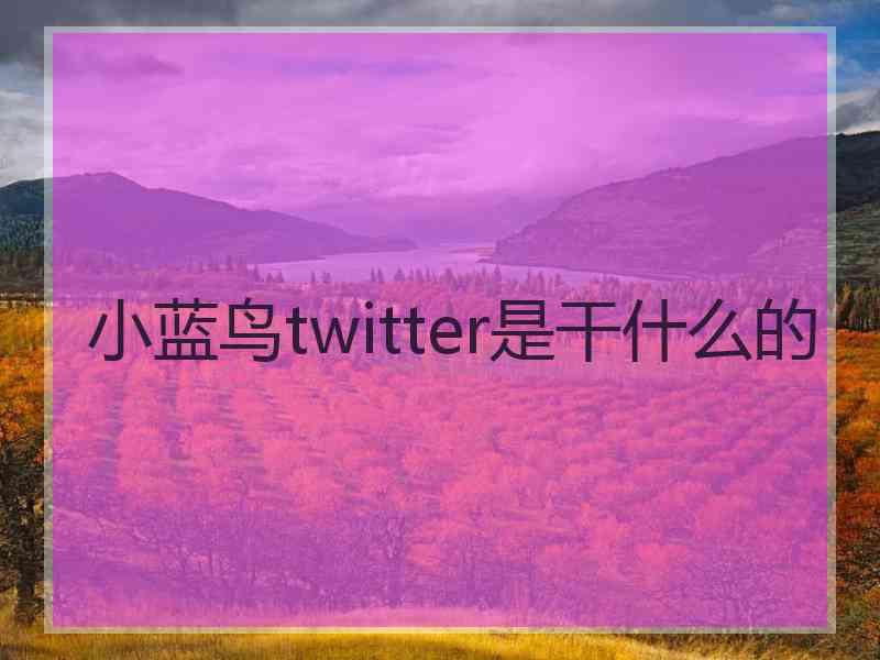 小蓝鸟twitter是干什么的