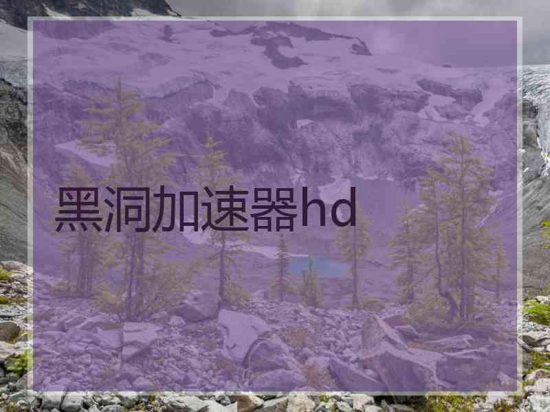 黑洞加速器hd