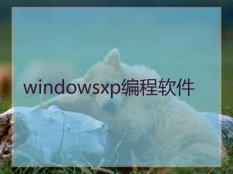 windowsxp编程软件