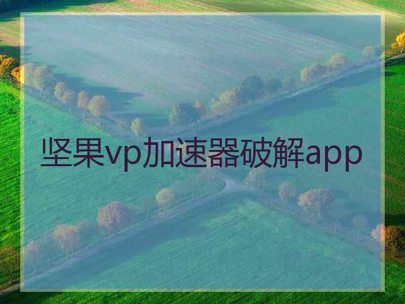 坚果vp加速器破解app