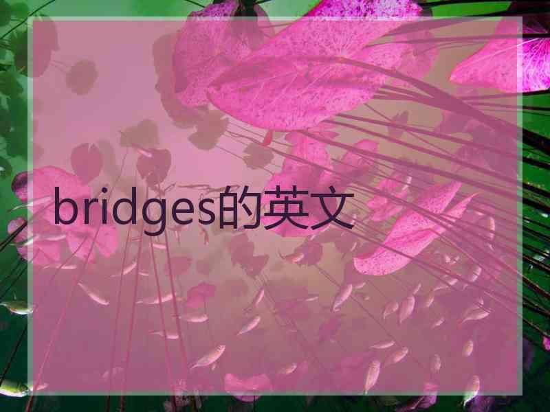 bridges的英文