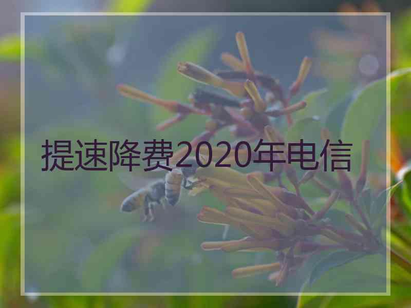 提速降费2020年电信