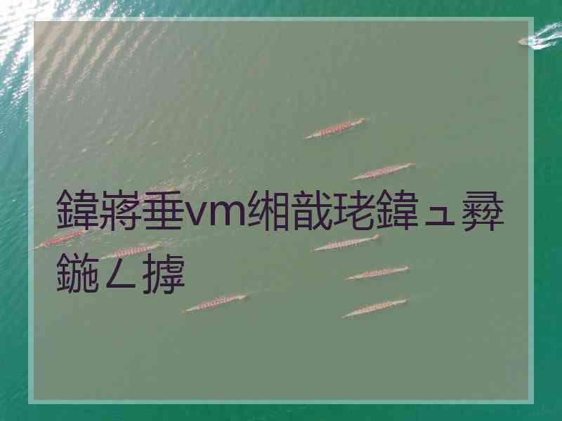 鍏嶈垂vm缃戠珯鍏ュ彛鍦ㄥ摢