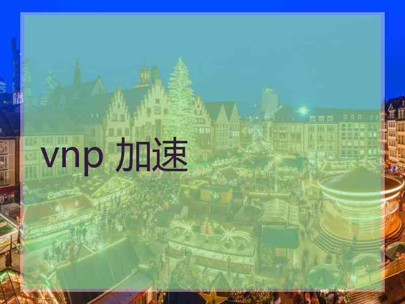 vnp 加速