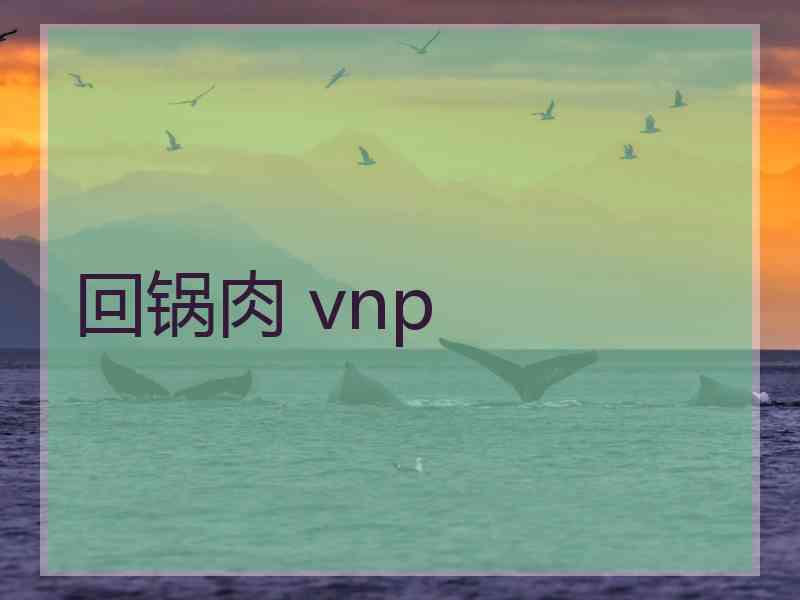 回锅肉 vnp