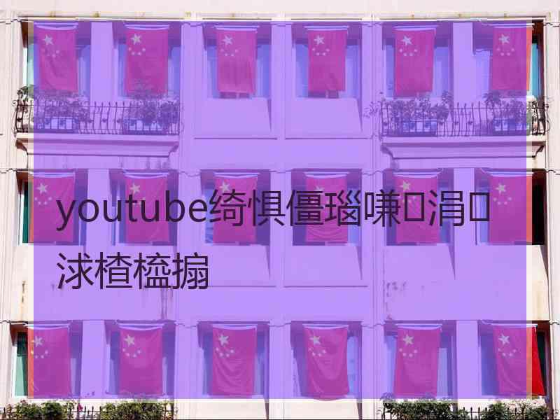 youtube绮惧僵瑙嗛涓浗楂橀搧