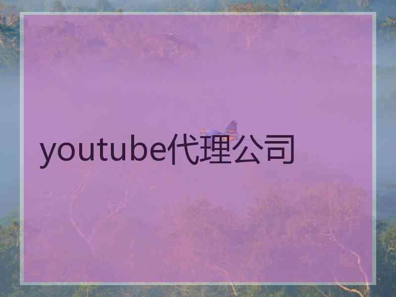 youtube代理公司