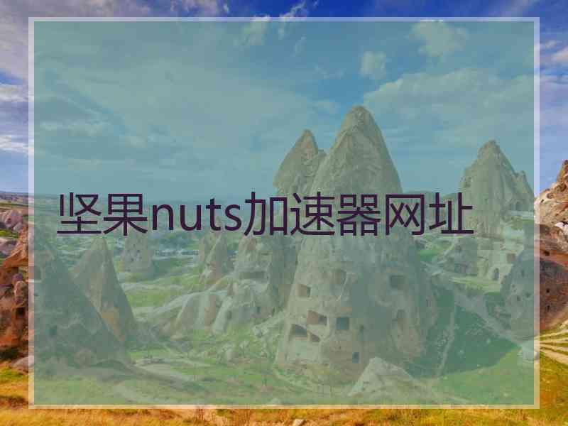 坚果nuts加速器网址