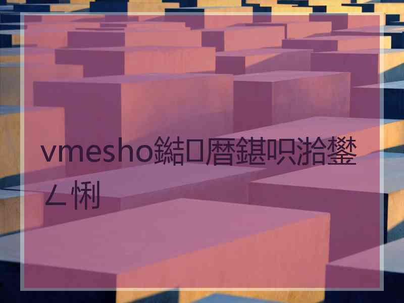 vmesho鐑暦鍖呮湁鐢ㄥ悧