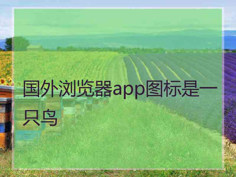 国外浏览器app图标是一只鸟