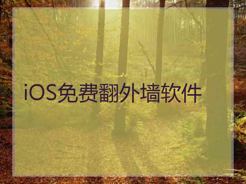 iOS免费翻外墙软件