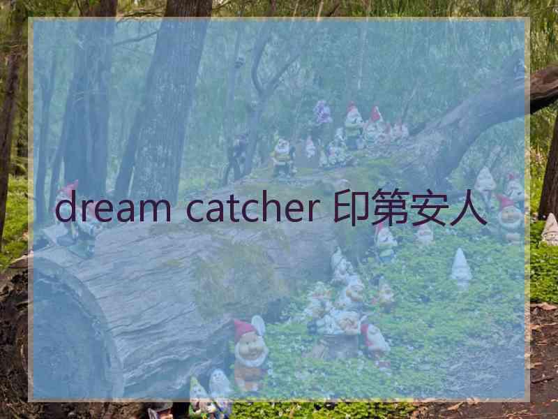 dream catcher 印第安人