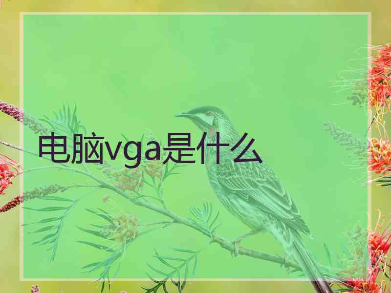 电脑vga是什么