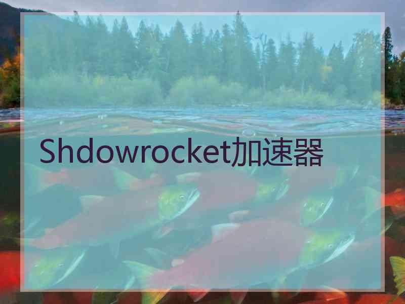 Shdowrocket加速器