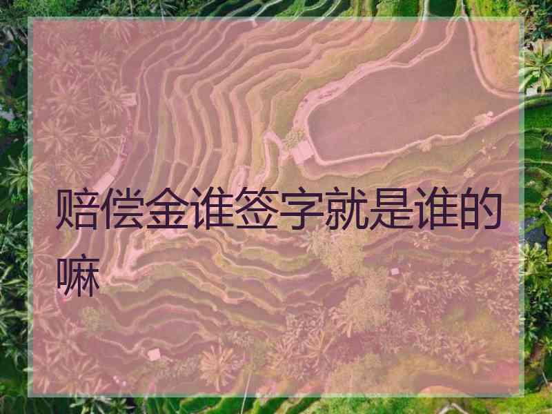 赔偿金谁签字就是谁的嘛