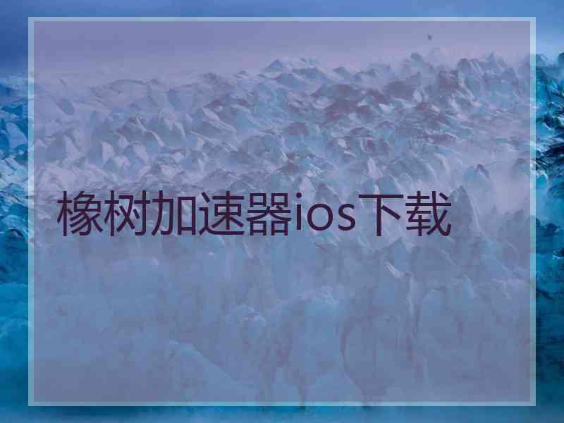 橡树加速器ios下载