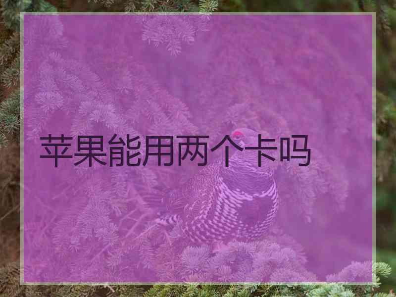 苹果能用两个卡吗