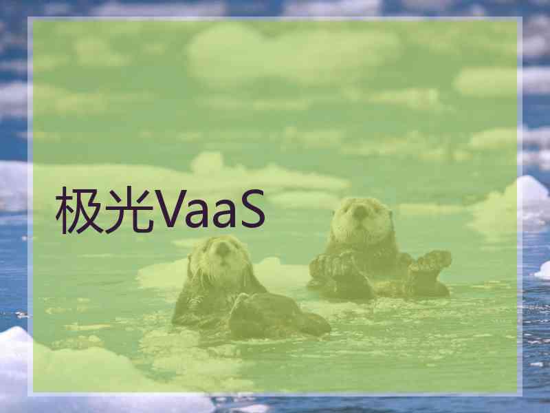 极光VaaS