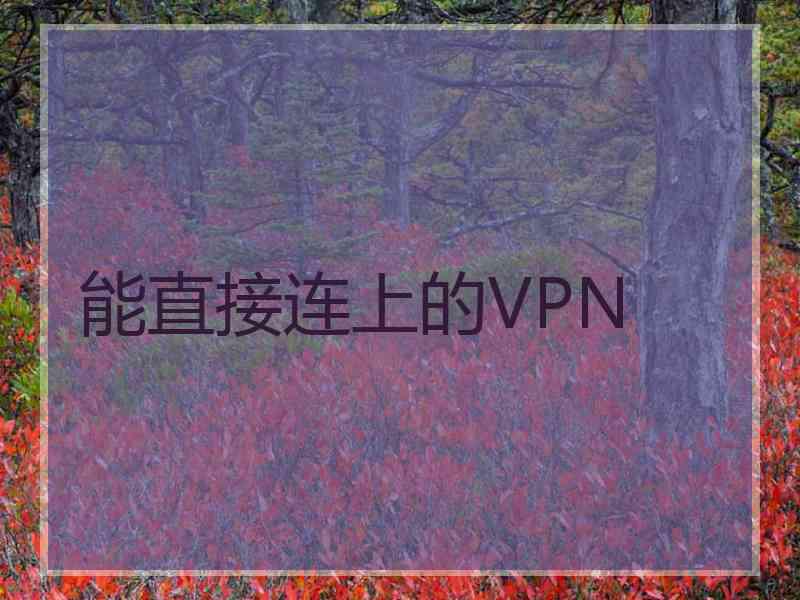 能直接连上的VPN