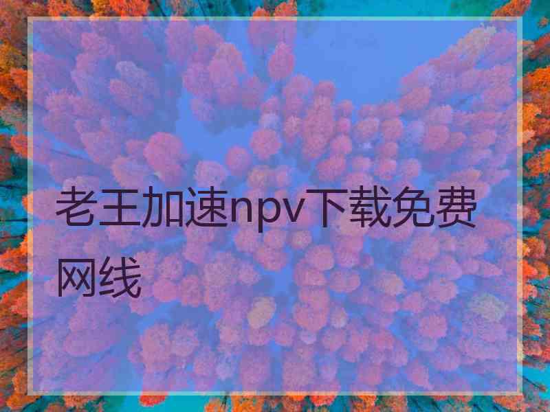 老王加速npv下载免费网线