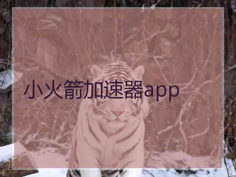 小火箭加速器app