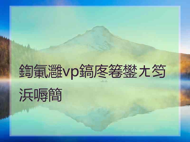 鍧氭灉vp鎬庝箞鐢ㄤ笉浜嗕簡