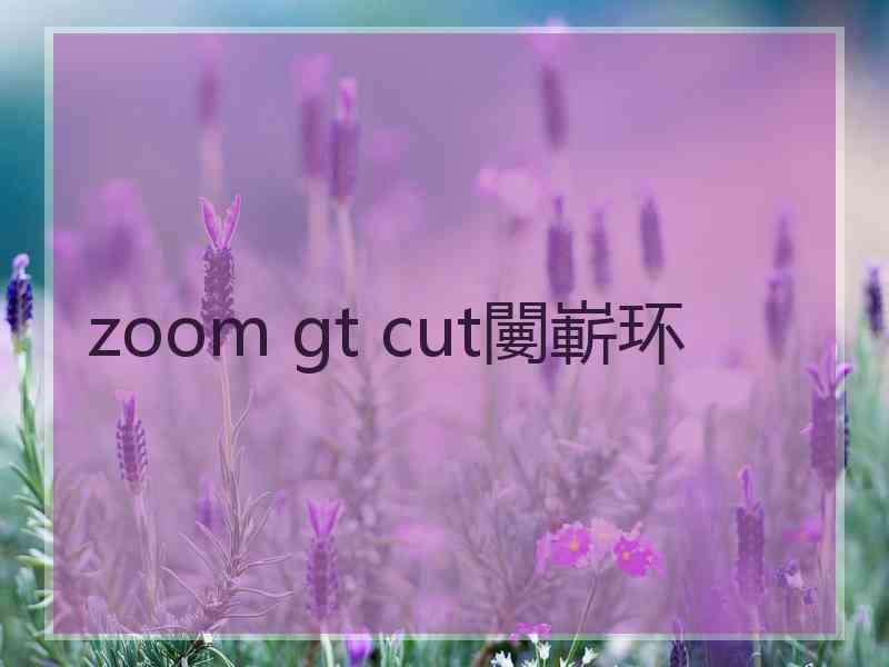 zoom gt cut闄嶄环