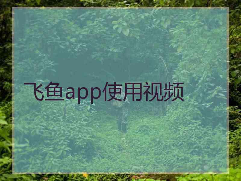 飞鱼app使用视频