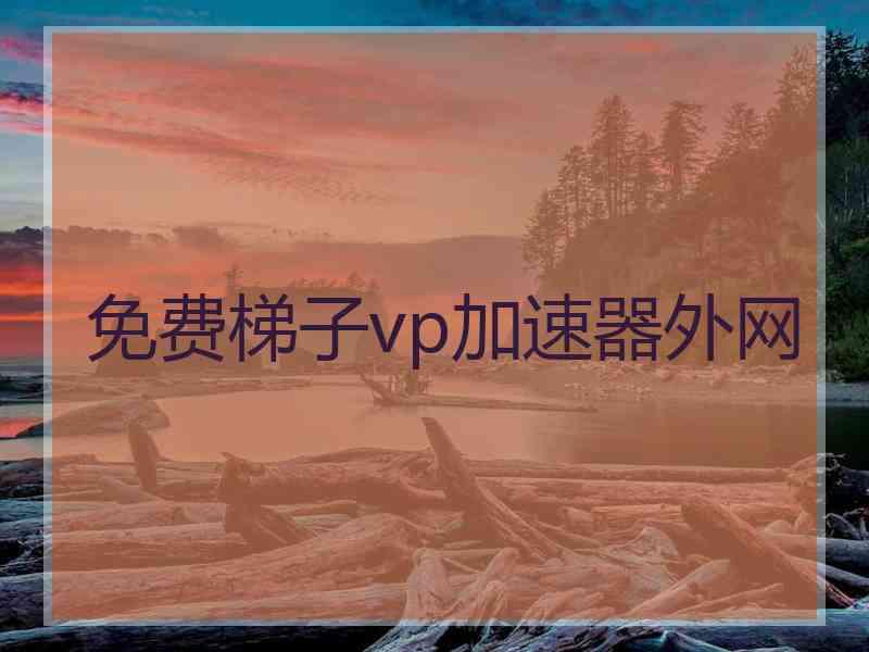 免费梯子vp加速器外网