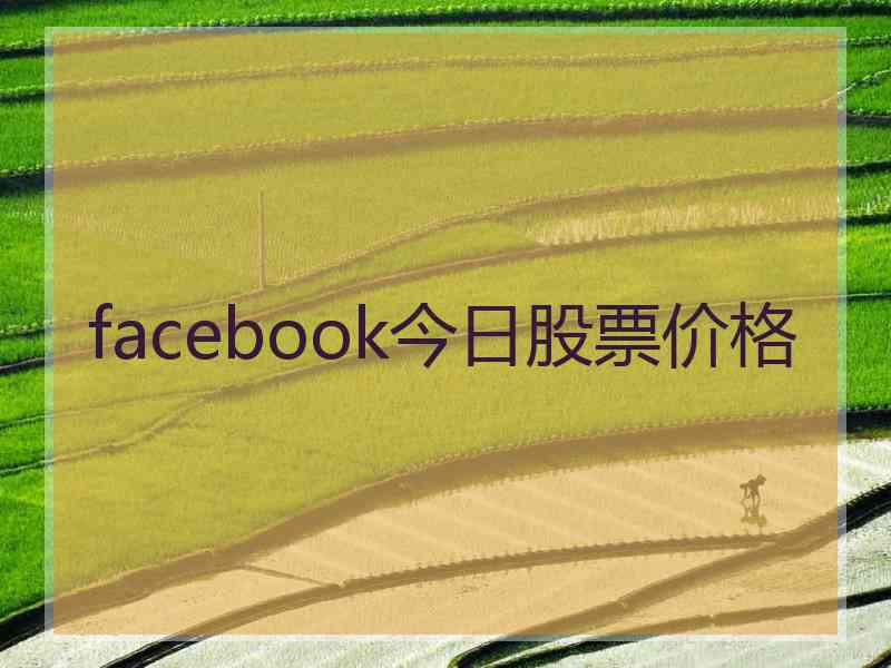 facebook今日股票价格