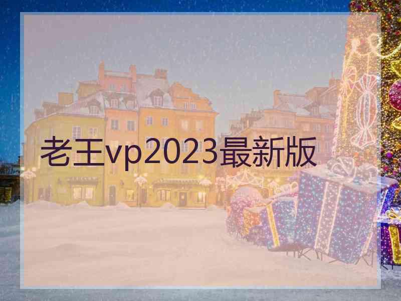 老王vp2023最新版